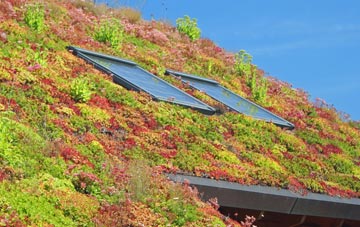 Iochdar living roof systems